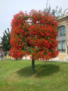 Fioriera "Albero di gerani"