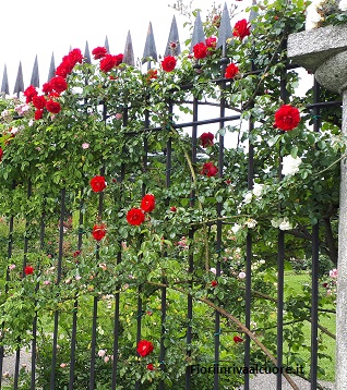 Chi è il “giardiniere immenso”?